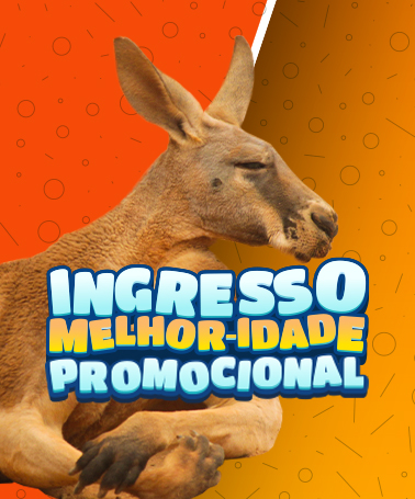 Miniatura 0