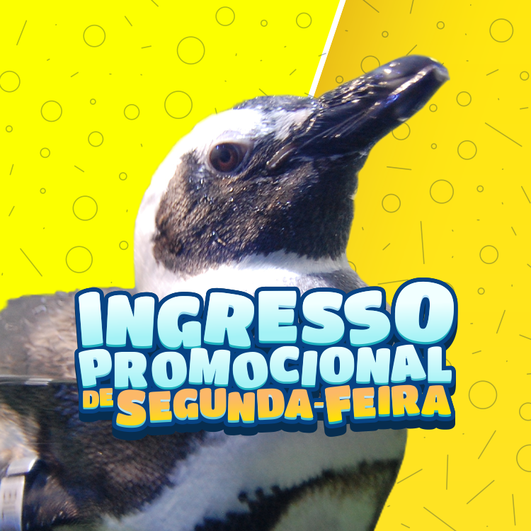 Miniatura 0
