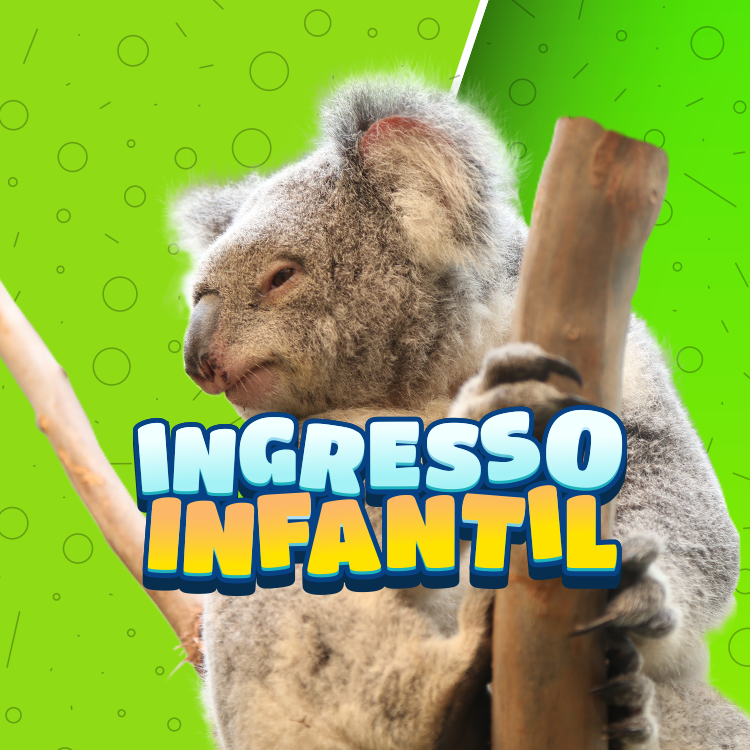 Miniatura 0