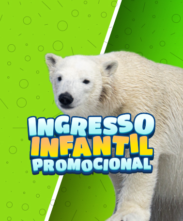 Miniatura 0