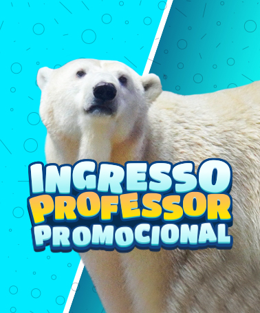 Miniatura 0