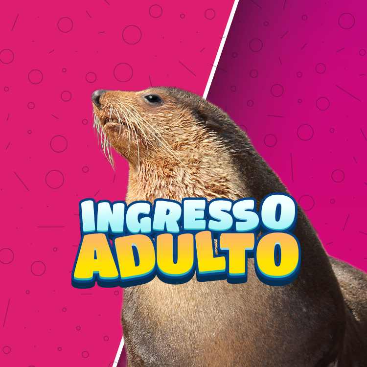 Miniatura 0