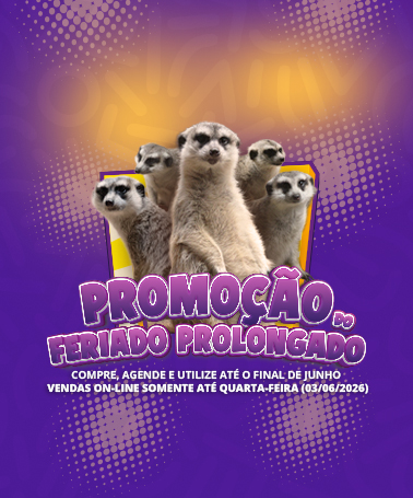 Miniatura 0