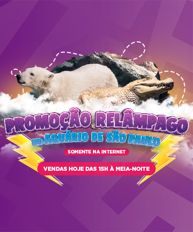 Miniatura 0