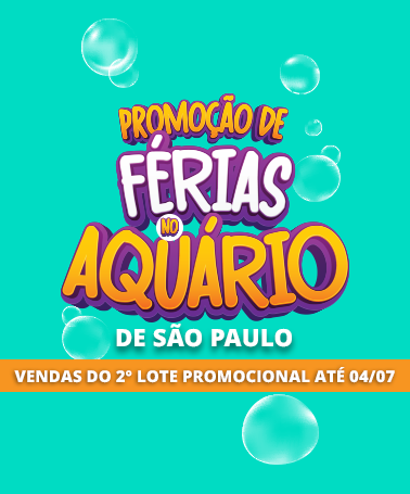 Miniatura 0